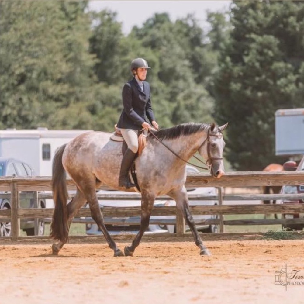 Meet your Posher, Melissa